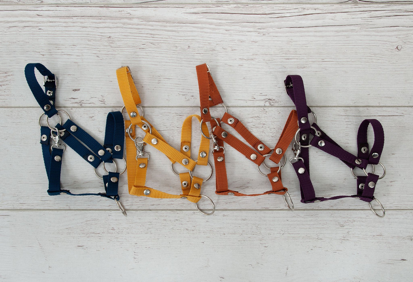 The adjustable halter for Hobby Horse A3 - plum – afbeelding 3