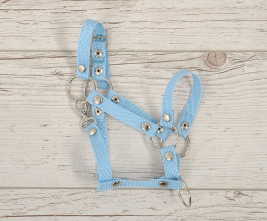 The adjustable halter for Hobby Horse A3 - light blue – afbeelding 2