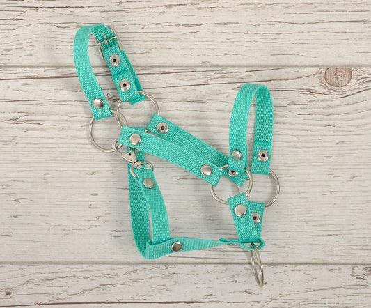 The adjustable halter for Hobby Horse A3 - mint – afbeelding 2