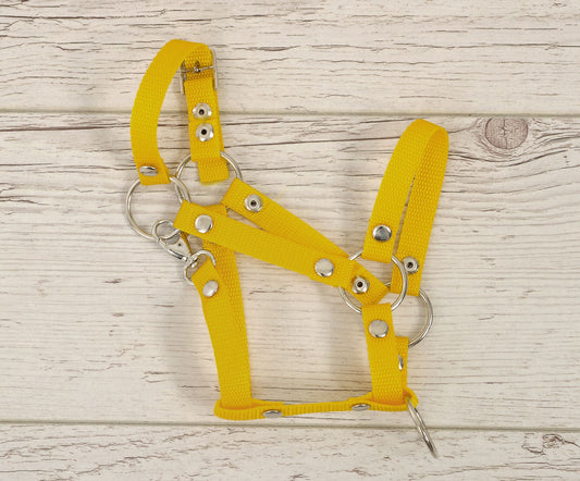 The adjustable halter for Hobby Horse A3 - yellow – afbeelding 2