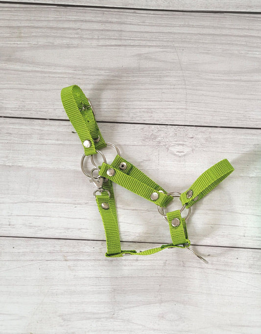 The adjustable halter for Hobby Horse A3 - lime – afbeelding 2