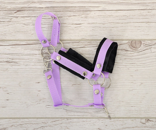 The adjustable halter for Hobby Horse A3 - purple with black furry – afbeelding 2