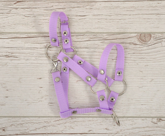 The adjustable halter for Hobby Horse A3 - purple – afbeelding 2